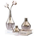 Home Decoration Gift glass Vase